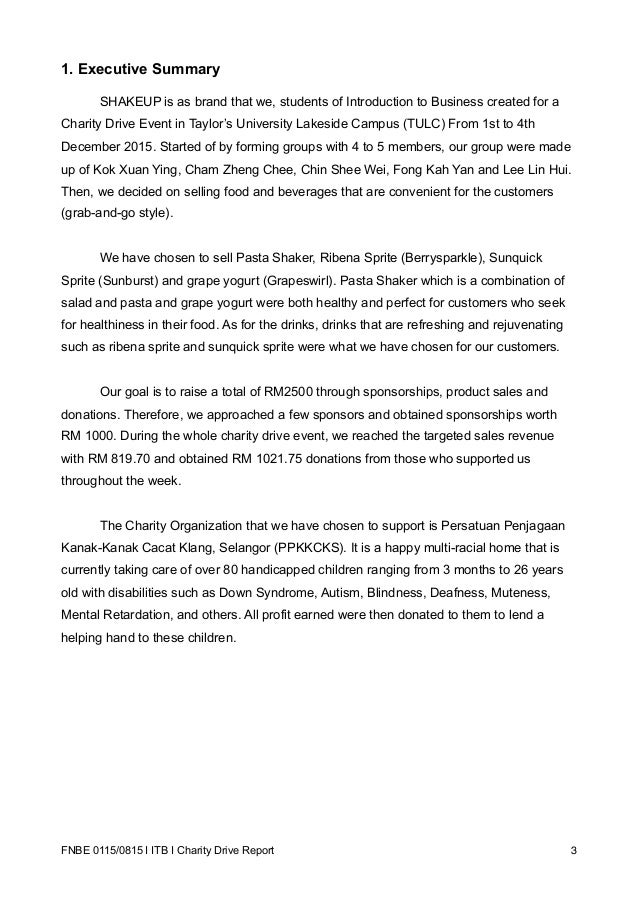 Charity Drive Report 2