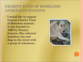 CHARITY FUND OF HOMELESS
ANIMALS IN IVANOVO
 I would like to support
Ivanovo Charity Fund
of Homeless animals.
It was fou...