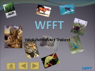 Wild Life Friends of Thailand. 