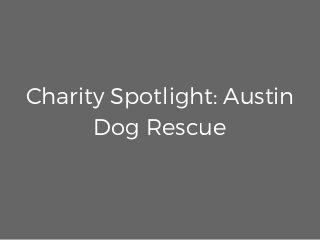 Charity Spotlight: Austin
Dog Rescue
 