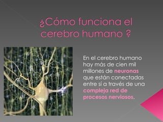 En el cerebro humano hay más de cien mil millones de  neuronas  que están conectadas entre sí a través de una  compleja red de procesos nerviosos . 