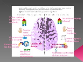 Ve las partes y después el conjunto Control  mano derecha Comprensión oral y escrita Comprensión de las direcciones Habilidad ejercicios matemáticos Visión de conjunto integral Control mano izquierda Control espacial tridimensional Conocimiento de los colores Habilidades artísticas: pintura, música… Control del tiempo 