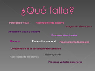 Percepción visual Reconocimiento auditivo Integración visomotora Asociación visual y auditiva Procesos atencionales Memoria Percepción temporal Comprensión de la secuencialidad-seriación Procesamiento fonológico Resolución de problemas Metacognición  Procesos verbales superiores 