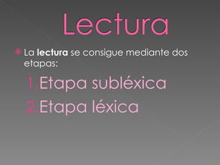 La  lectura  se consigue mediante dos etapas: Etapa subléxica Etapa léxica  