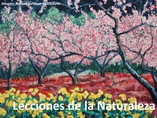 Lecciones de la Naturaleza
Imagen: Rafael Gershon Glückstern
 