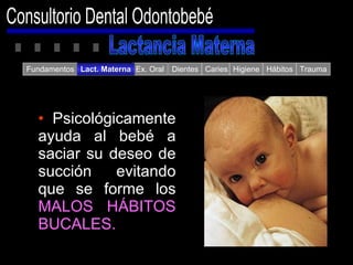 Consultorio Dental Odontobebé Fundamentos Ex. Oral Dientes Caries Higiene Hábitos Trauma Lact. Materna Psicológicamente ayuda al bebé a saciar su deseo de succión evitando que se forme los  MALOS HÁBITOS BUCALES. Lactancia Materna 