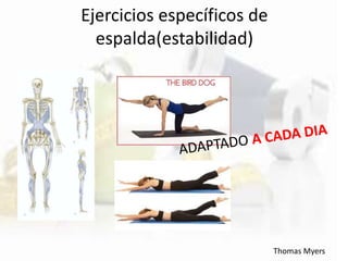 Ejercicios específicos de
espalda(estabilidad)
Thomas Myers
 