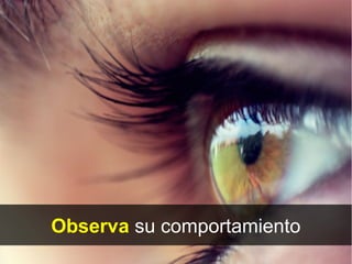 Observa su comportamiento
 