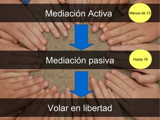 Mediación Activa    Menos de 13




Mediación pasiva     Hasta 16




Volar en libertad
 