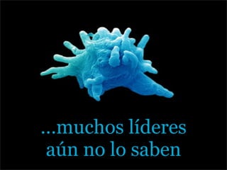 Charla Programa Cetean 2008(Para Ss)