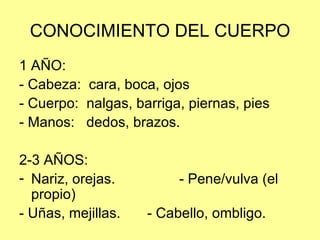 CONOCIMIENTO DEL CUERPO 1 AÑO: - Cabeza:  cara, boca, ojos - Cuerpo:  nalgas, barriga, piernas, pies - Manos:  dedos, brazos. 2-3 AÑOS: Nariz, orejas. - Pene/vulva (el propio) - Uñas, mejillas. - Cabello, ombligo. 
