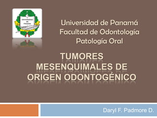 Universidad de Panamá
     Facultad de Odontología
         Patología Oral

      TUMORES
 MESENQUIMALES DE
ORIGEN ODONTOGÉNICO


                 Daryl F. Padmore D.
 