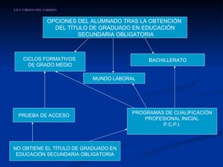 I.E.S. VIRGEN DEL CARMEN OPCIONES DEL ALUMNADO TRAS LA OBTENCIÓN  DEL TÍTULO DE GRADUADO EN EDUCACIÓN SECUNDARIA OBLIGATORIA CICLOS FORMATIVOS  DE GRADO MEDIO BACHILLERATO MUNDO LABORAL NO OBTIENE EL TÍTULO DE GRADUADO EN EDUCACIÓN SECUNDARIA OBLIGATORIA PRUEBA DE ACCESO PROGRAMAS DE CUALIFICACIÓN PROFESIONAL INICIAL P.C.P.I. 