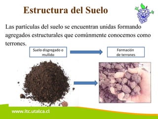 Disgregado Charla act 1 | PPT
