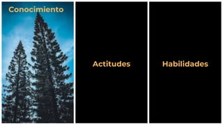 Conocimiento
Actitudes Habilidades
 