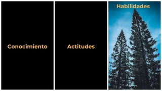 Conocimiento Actitudes
Habilidades
 