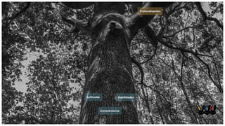 Conocimiento
Habilidades
Actitudes
Profundización
 