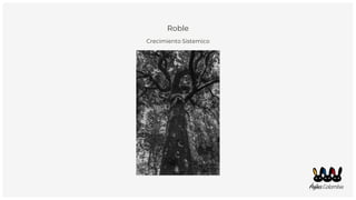 Roble
Crecimiento Sistemico
 