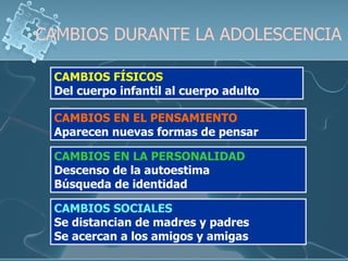 CAMBIOS DURANTE LA ADOLESCENCIA CAMBIOS FÍSICOS Del cuerpo infantil al cuerpo adulto CAMBIOS EN EL PENSAMIENTO Aparecen nuevas formas de pensar CAMBIOS EN LA PERSONALIDAD Descenso de la autoestima Búsqueda de identidad CAMBIOS SOCIALES Se distancian de madres y padres Se acercan a los amigos y amigas  