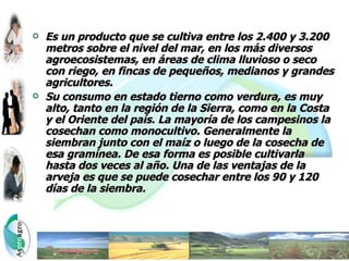    Es un producto que se cultiva entre los 2.400 y 3.200
    metros sobre el nivel del mar, en los más diversos
    agroecosistemas, en áreas de clima lluvioso o seco
    con riego, en fincas de pequeños, medianos y grandes
    agricultores.
   Su consumo en estado tierno como verdura, es muy
    alto, tanto en la región de la Sierra, como en la Costa
    y el Oriente del país. La mayoría de los campesinos la
    cosechan como monocultivo. Generalmente la
    siembran junto con el maíz o luego de la cosecha de
    esa gramínea. De esa forma es posible cultivarla
    hasta dos veces al año. Una de las ventajas de la
    arveja es que se puede cosechar entre los 90 y 120
    días de la siembra.
 
