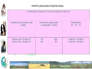 FERTILIZACION FOSFATADA

                  Fertilización Fosforada- Forma de Aplicación (Kg./ha)




contenido de fósforo del         Forma de aplicación                      Fertilizante
           suelo                  Localizada Voleo                        N - P- K




 Menos de 10 ppm P                70               100               0-46-0 o 18-46-0
 Entre 10 y 15 ppm P              50                80               0-45-0 o 18-46-0
 