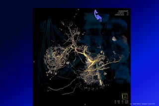 Lic.: Frank Patiño C. Seminario Azuero 2018
 