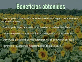 * Disminuye la contaminación en suelos y se evita la llegada del aceite a las
lagunas de la zona.
* Disminuye la dependencia del municipio de los combustibles fósiles
* Genera empleo local y ayuda a frenar la emigración a otras ciudades.
* Disminuiye el gasto del parque automotor y el de depuración del agua.
* Incrementa la conciencia medioambiental de la población.
 
