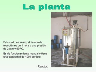 Fabricado en acero, el tiempo de
reacción es de 1 hora a una presión
de 2 atm y 90 ºC.
Es de funcionamiento manual y tiene
una capacidad de 400 l por lote.
Reactor.
 