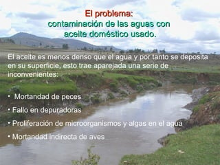 El problema:El problema:
contaminación de las aguas concontaminación de las aguas con
aceite doméstico usado.aceite doméstico usado.
El aceite es menos denso que el agua y por tanto se deposita
en su superficie, esto trae aparejada una serie de
inconvenientes:
• Mortandad de peces
• Fallo en depuradoras
• Proliferación de microorganismos y algas en el agua
• Mortandad indirecta de aves
 