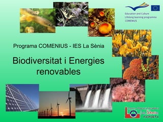 Programa COMENIUS - IES La Sènia

Biodiversitat i Energies
renovables

 