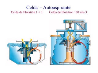 Celda - Autoaspirante
Celda de Flotatión 1 + 1 Celda de Flotatión 130 mts.3
 