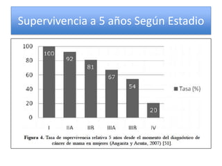 Supervivencia a 5 años Según Estadio
 