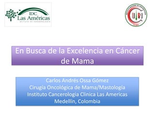 En Busca de la Excelencia en Cáncer
             de Mama

            Carlos Andrés Ossa Gómez
    Cirugía Oncológica de Mama/Mastología
   Instituto Cancerologia Clinica Las Americas
               Medellín, Colombia
 