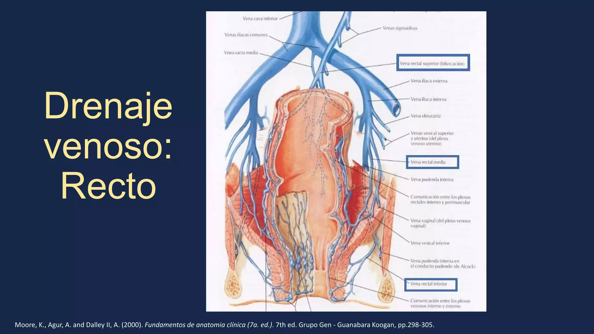 charla-cirugia-anatom-a-irrigaci-n-y-drenaje-de-colon-y-recto-pptx