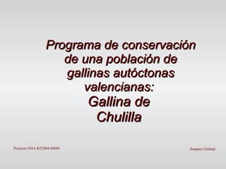 Programa   de conservación de una población de gallinas autóctonas valencianas:  Gallina de  Chulilla   Amparo Grimal  Proyecto INIA RZ2004-00040 
