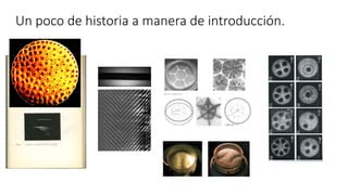 Un poco de historia a manera de introducción.
 