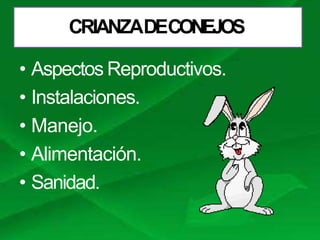 Charla conejos | PPTX