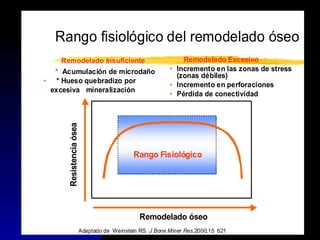 Rango fisiológico del remodelado óseo
Adaptado de Weinstein RS. J Bone Miner Res.2000;15 621
Rango FisiológicoRango Fisiológico
Resistenciaósea
Remodelado óseo
Remodelado Excesivo
• Incremento en las zonas de stress
(zonas débiles)
• Incremento en perforaciones
• Pérdida de conectividad
Remodelado Insuficiente
* Acumulación de microdaño
• * Hueso quebradizo por
excesiva mineralización
 