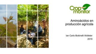 Aminoácidos en
producción agrícola
Ian Carlo Bottinelli Wolleter
2019
 
