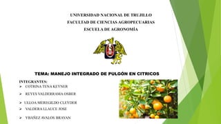 UNIVERSIDAD NACIONAL DE TRUJILLO
FACULTAD DE CIENCIAS AGROPECUARIAS
ESCUELA DE AGRONOMÍA
INTEGRANTES:
 COTRINA TENA KEYNER
 REYES VALDERRAMA OSBER
 ULLOA MEREGILDO CLEYDER
 VALDERA LLAUCE JOSE
 YBAÑEZ AVALOS BRAYAN
TEMA: MANEJO INTEGRADO DE PULGÓN EN CITRICOS
 