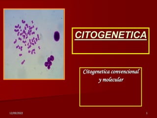 12/09/2022 1
Citogenetica convencional
y molecular
CITOGENETICA
 