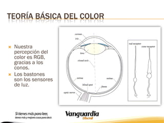 TEORÍA BÁSICA DEL COLOR





Nuestra
percepción del
color es RGB,
gracias a los
conos.
Los bastones
son los sensores
de luz.

 