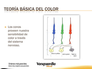 TEORÍA BÁSICA DEL COLOR



Los conos
proveen nuestra
sensibilidad de
color a través
del sistema
nervioso.

 