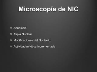 Microscopía de NIC
Anaplasia
Atipia Nuclear
Modificaciones del Nucleolo
Actividad mitótica incrementada
 