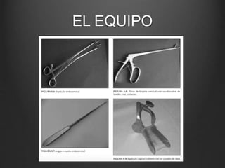 EL EQUIPO
 