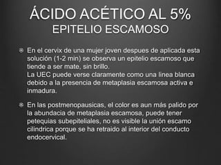 ÁCIDO ACÉTICO AL 5%
EPITELIO ESCAMOSO
En el cervix de una mujer joven despues de aplicada esta
solución (1-2 min) se observa un epitelio escamoso que
tiende a ser mate, sin brillo.
La UEC puede verse claramente como una linea blanca
debido a la presencia de metaplasia escamosa activa e
inmadura.
En las postmenopausicas, el color es aun más palido por
la abundacia de metaplasia escamosa, puede tener
petequias subepiteliales, no es visible la unión escamo
cilindrica porque se ha retraido al interior del conducto
endocervical.
 