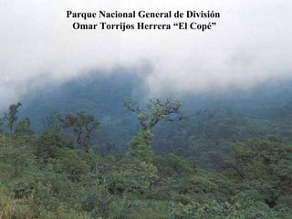 Parque Nacional General de División
Omar Torrijos Herrera “El Copé”
 
