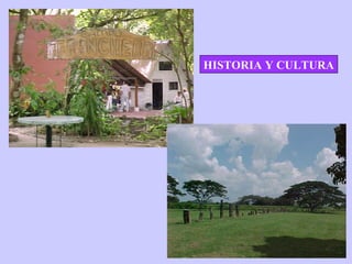 HISTORIA Y CULTURA
 