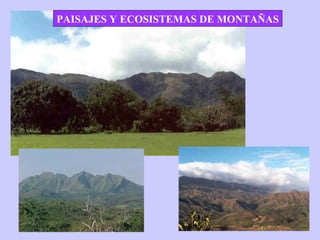 PAISAJES Y ECOSISTEMAS DE MONTAÑAS
 