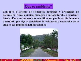 Conjunto o sistema de elementos naturales y artificiales de
naturaleza física, química, biológica o sociocultural, en constante
interacción y en permanente modificación por la acción humana
o natural, que rige y condiciona la existencia y desarrollo de la
vida en sus múltiples manifestaciones.
Que es ambiente?
 